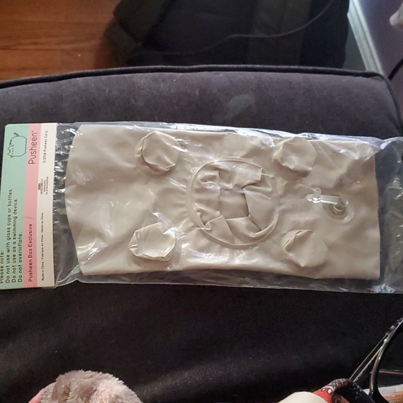 Pusheen Inflatable beverage float - Picture 3 of 4